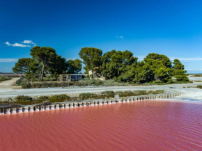 Nuits Salines Aigues-Mortes